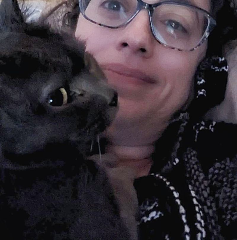 snuggly cat happy